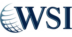 WSI , IT and Computer Franchise